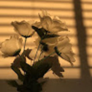 Meet your Posher, Khadeejah